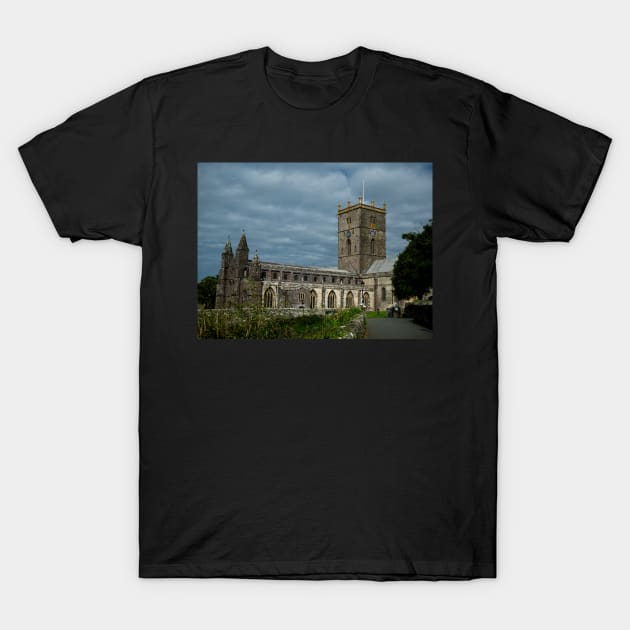 St Davids Cathedral T-Shirt by jalfc46